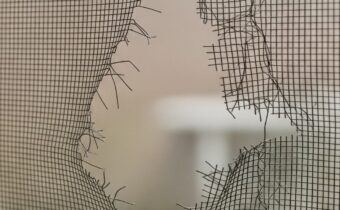 Prečo sa muchy v lete tlačia do našich izieb a ako tomu zabrániť